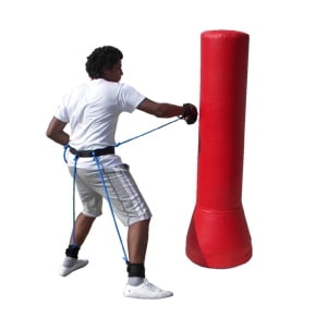 Nihon Sport boxfit